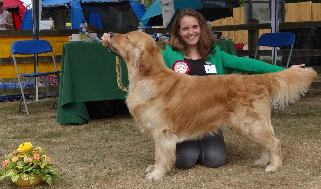 DSC09610 The Golden Retriever Club
