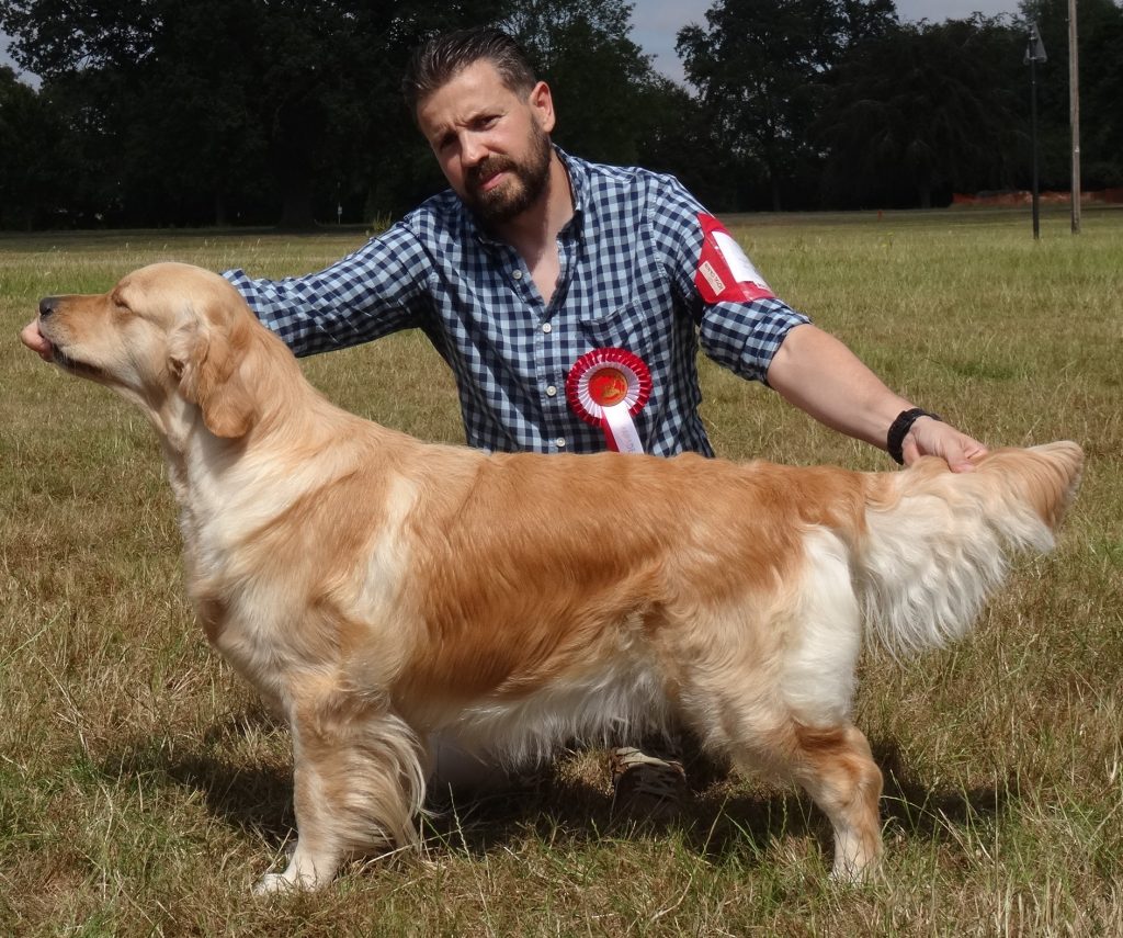 DSC09721 The Golden Retriever Club