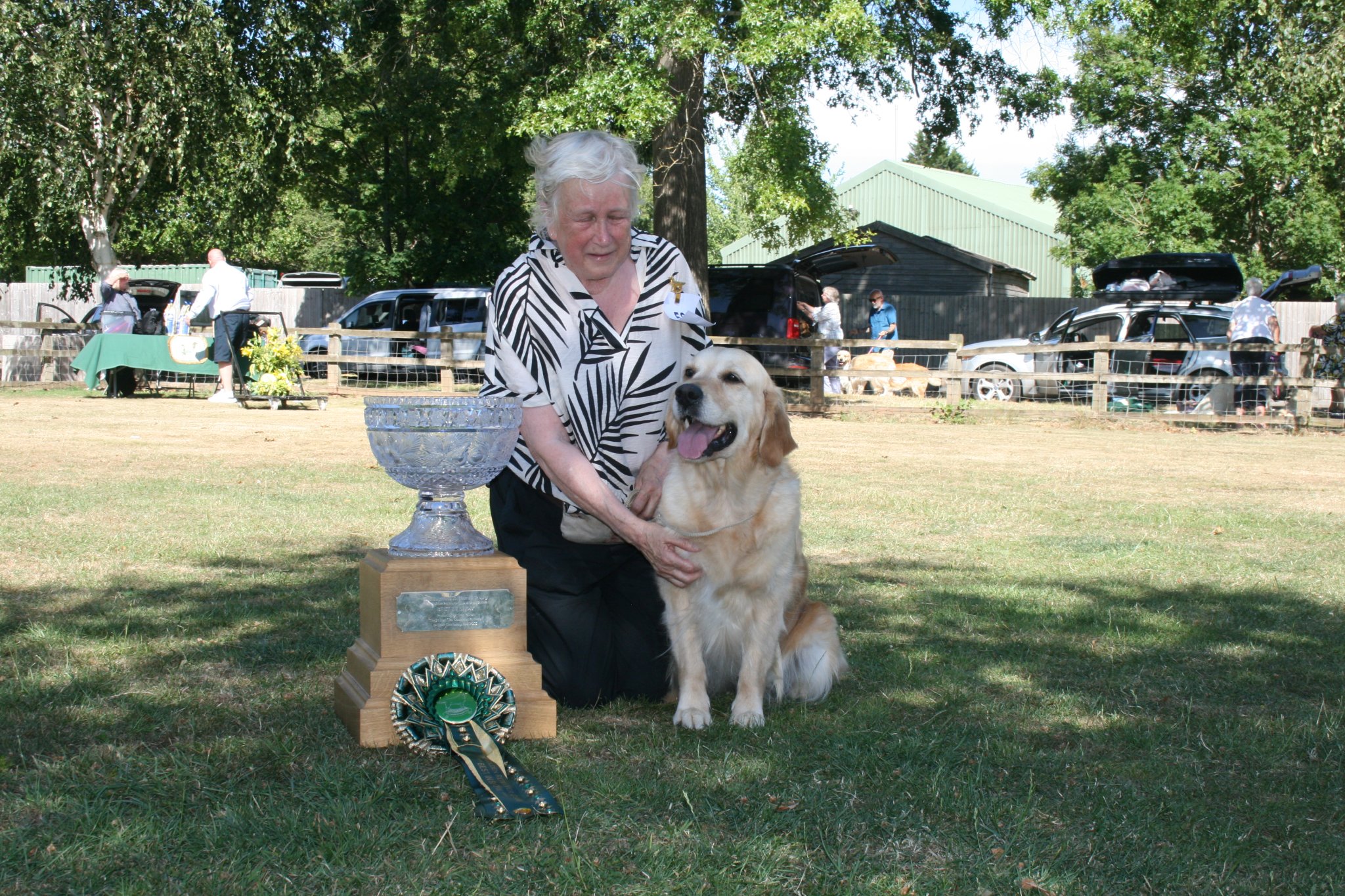 July 2025 Championship Show | The Golden Retriever Club UK | GRC